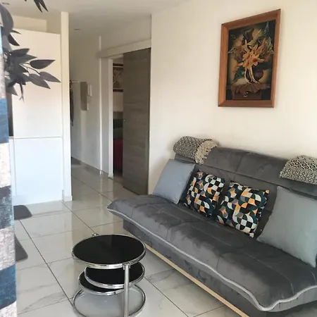 2 Pieces Avec Terrasse -Calme-Sans Vis A Vis-Garage-Centre De Cannes Apartment